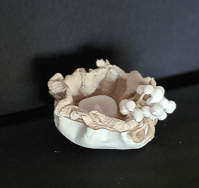 "Panier de Lumière"