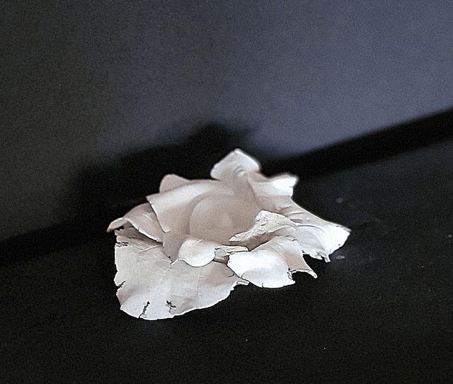 "Lueur Florale" - "VENDU"