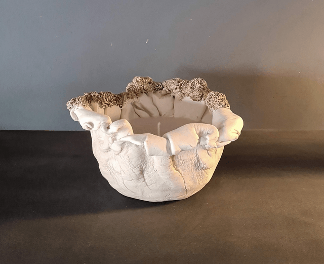 "Lumière de Corail"