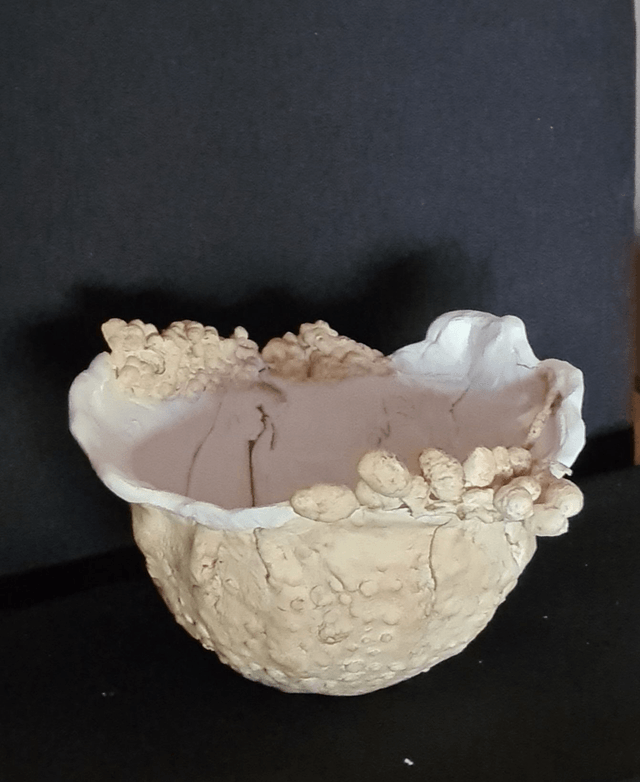 Mousse des bois
