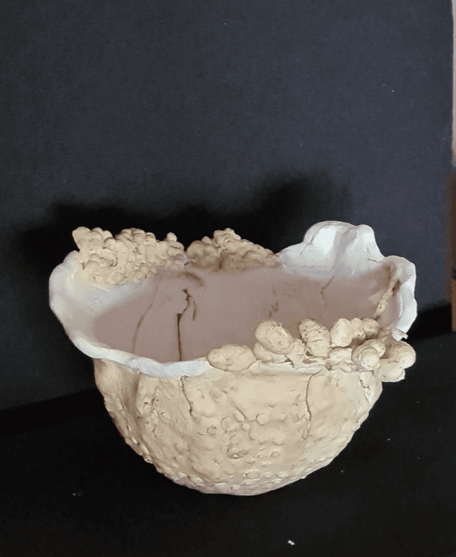 Mousse des bois